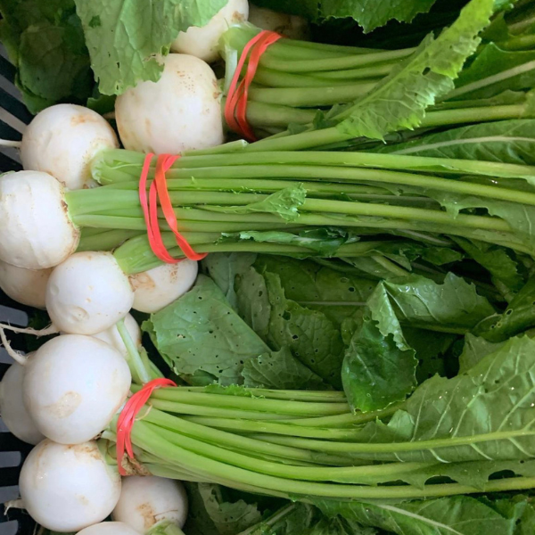 A 2 part image showing peeled turnips being sliced on a mandoline