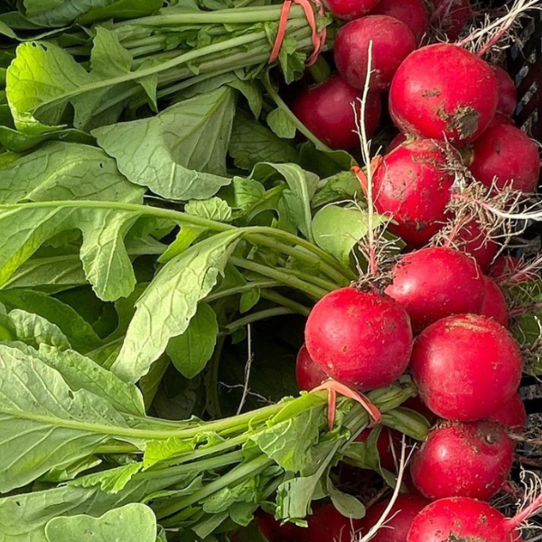 Blog-featured-image-sizing-600